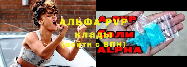 шишки Беломорск