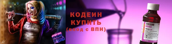 шишки Беломорск