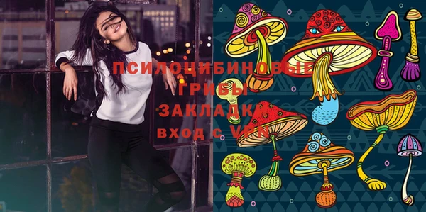 шишки Беломорск