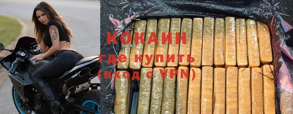 шишки Беломорск