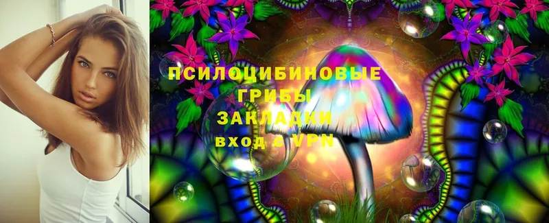 Псилоцибиновые грибы MAGIC MUSHROOMS  omg ССЫЛКА  Верхотурье 